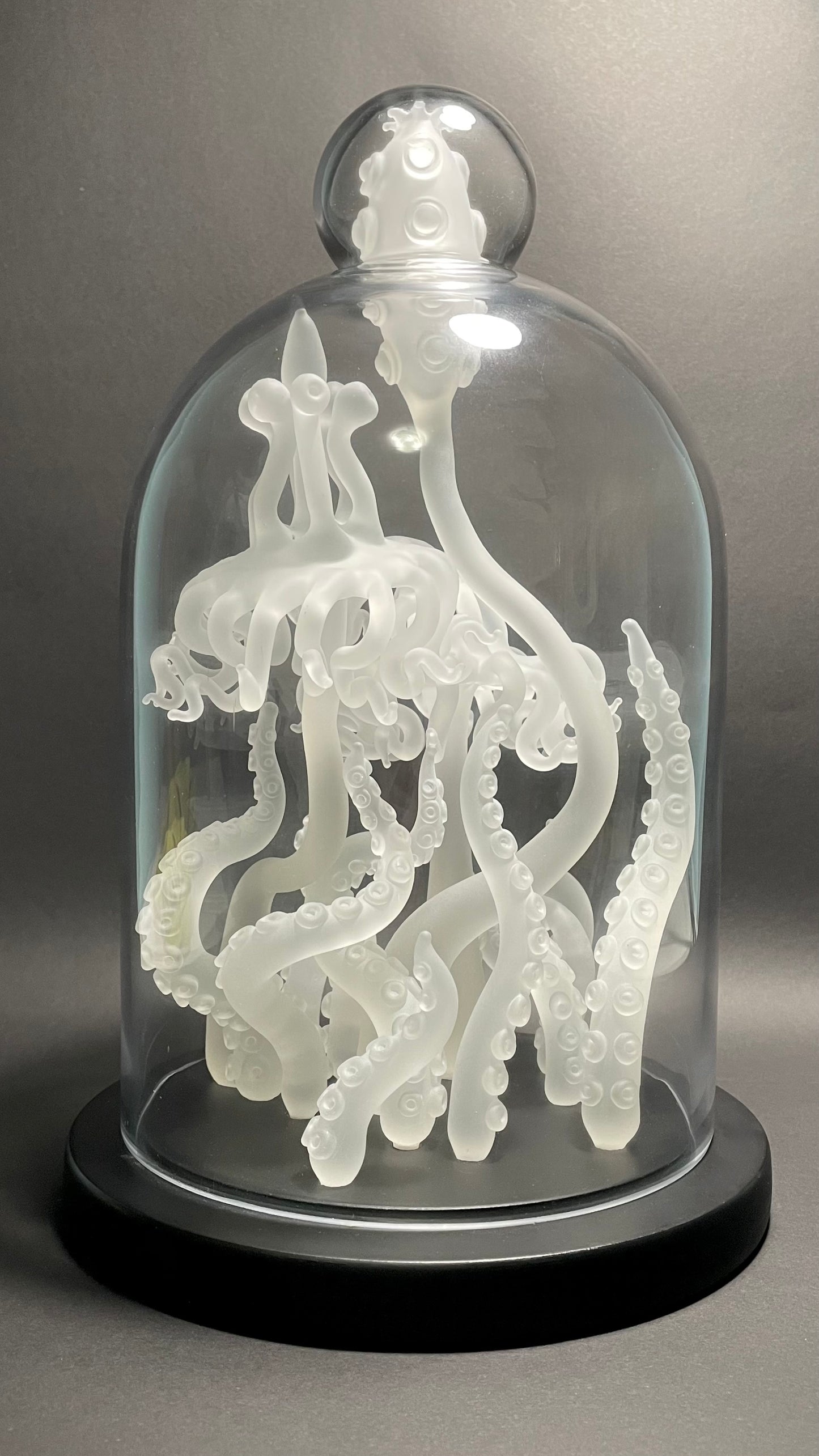Amoeba Bell Jar 2