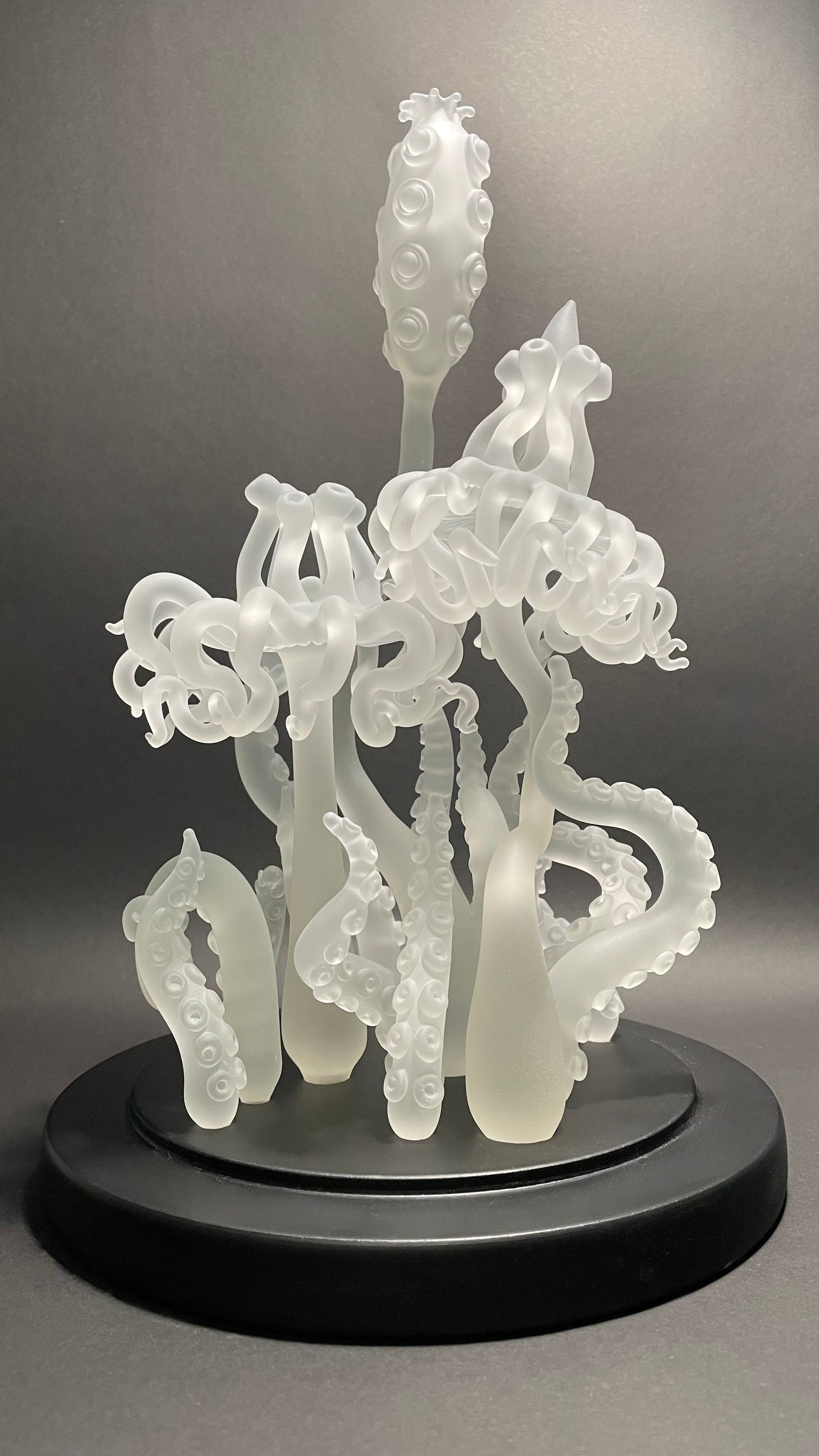 Amoeba Bell Jar 2