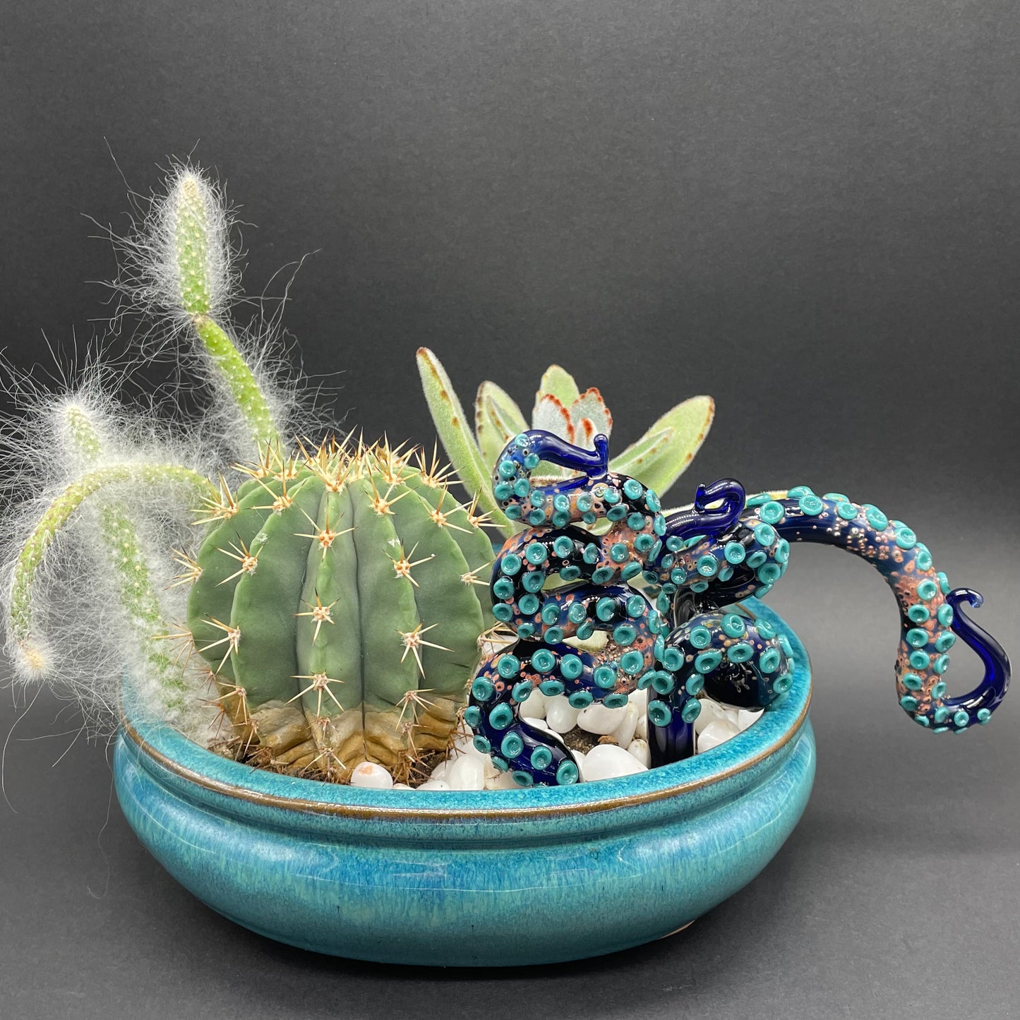 tentacle plant decoration