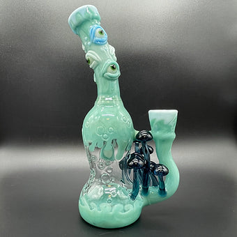 Aqua Argus Rig