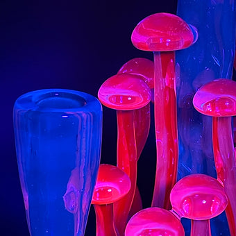14mm UV mushroom rig