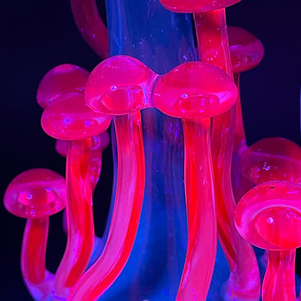 14mm UV mushroom rig