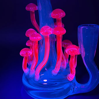 14mm UV mushroom rig