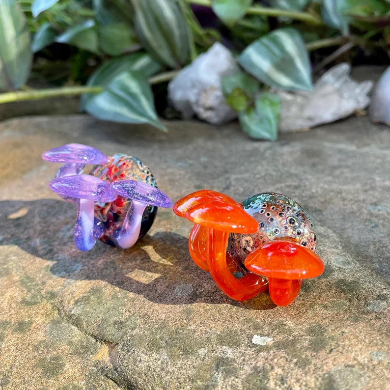 2 mushroom magnets