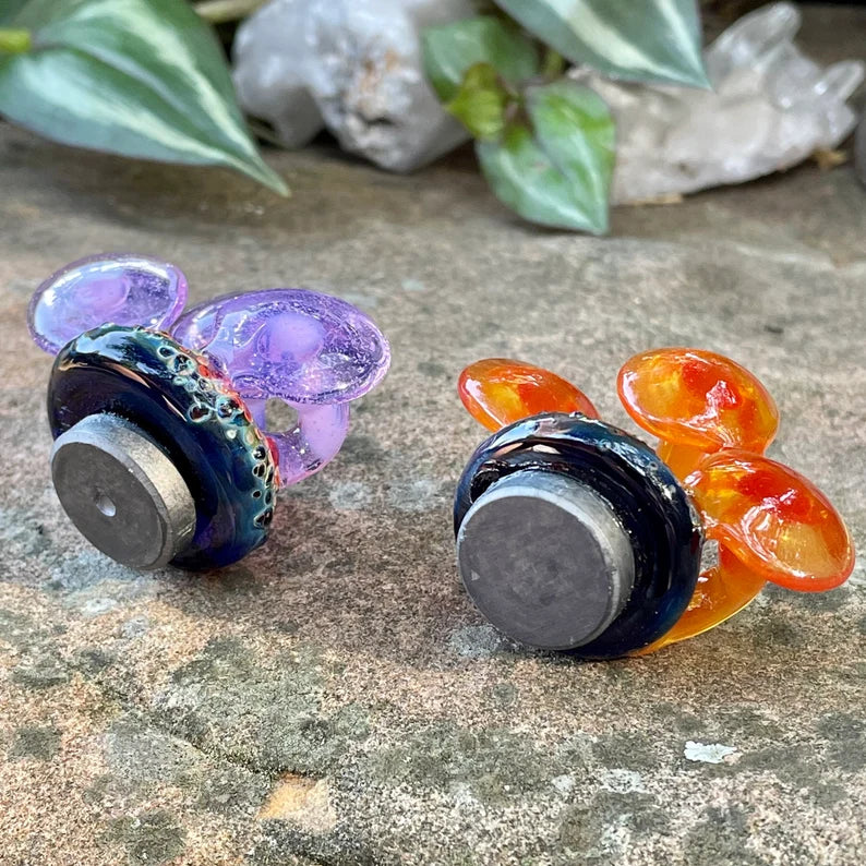 2 mushroom magnets