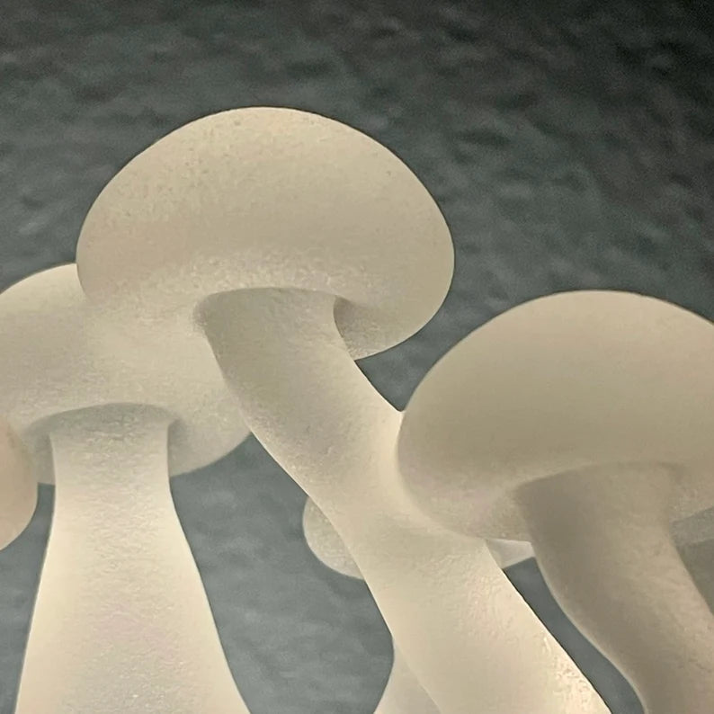 Large Mushroom, frosted clear glass led night light. #1
