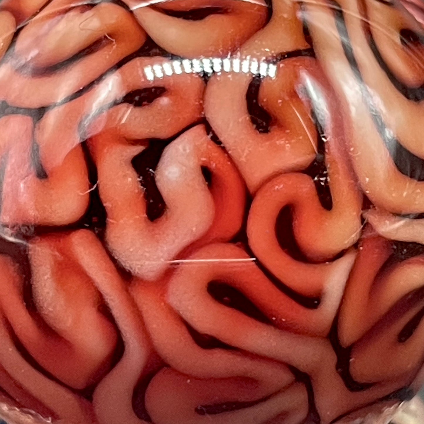 Brain marble and stand