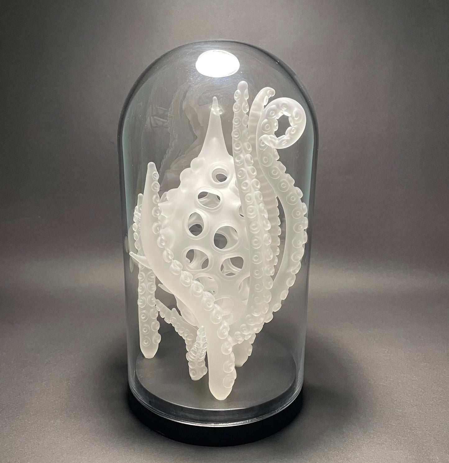 Amoeba Bell Jar 1