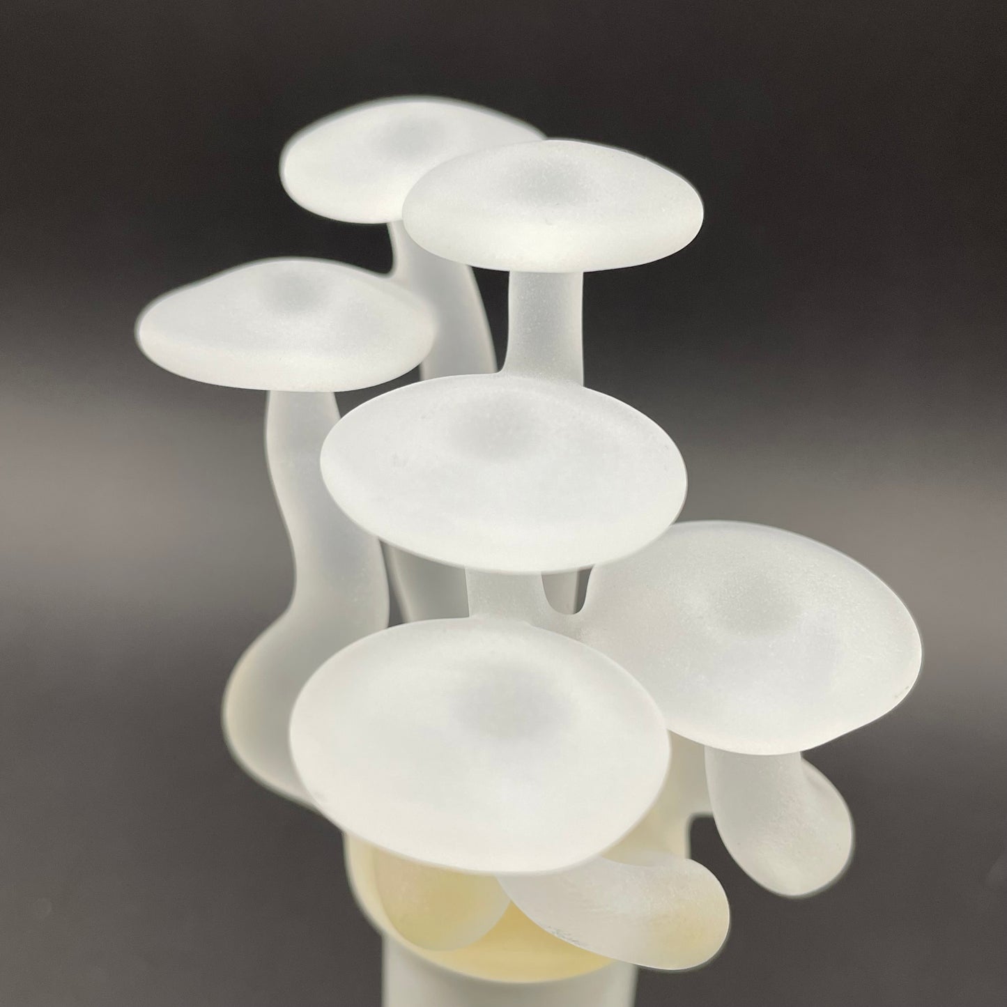 Mushroom, frosted clear glass led night light.