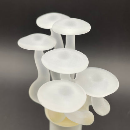 Mushroom, frosted clear glass led night light.