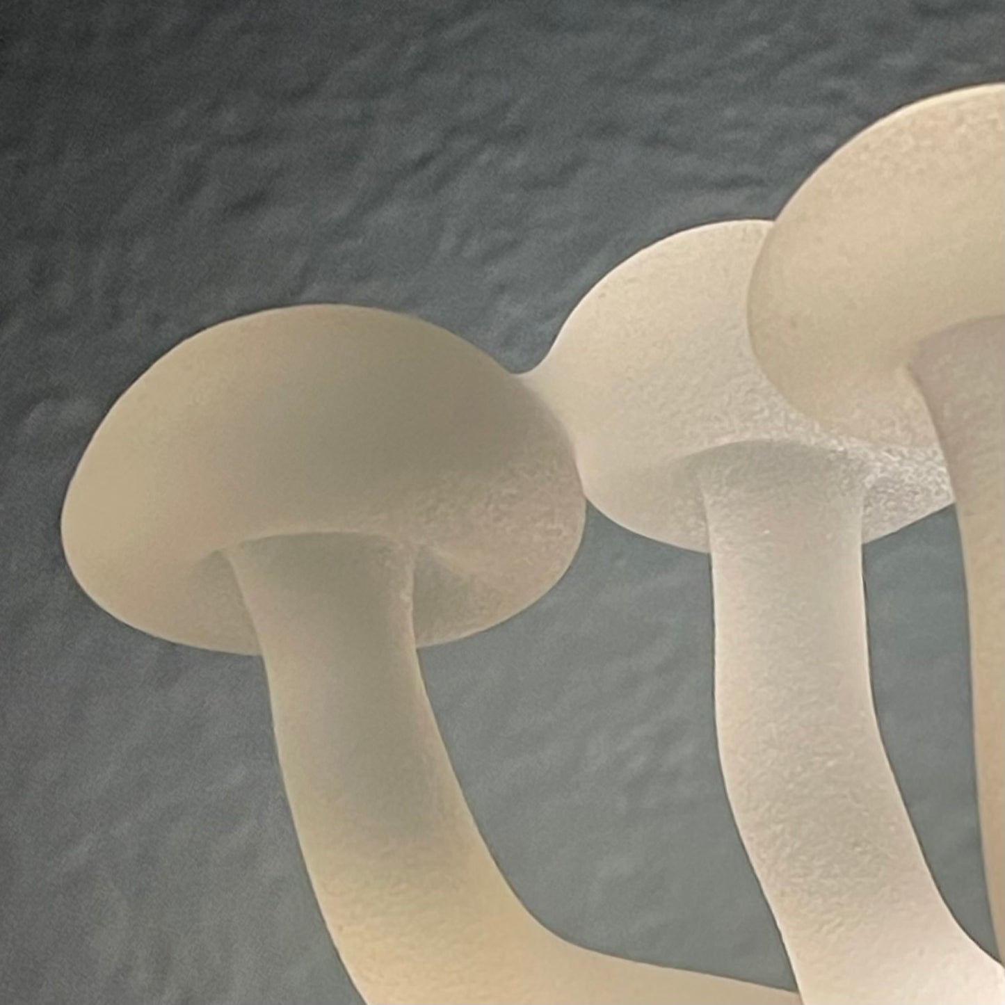 Mushroom, frosted clear glass led night light.
