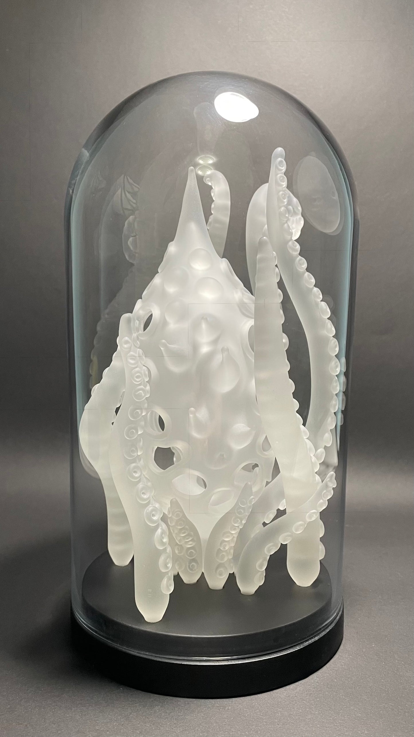 Amoeba Bell Jar 1
