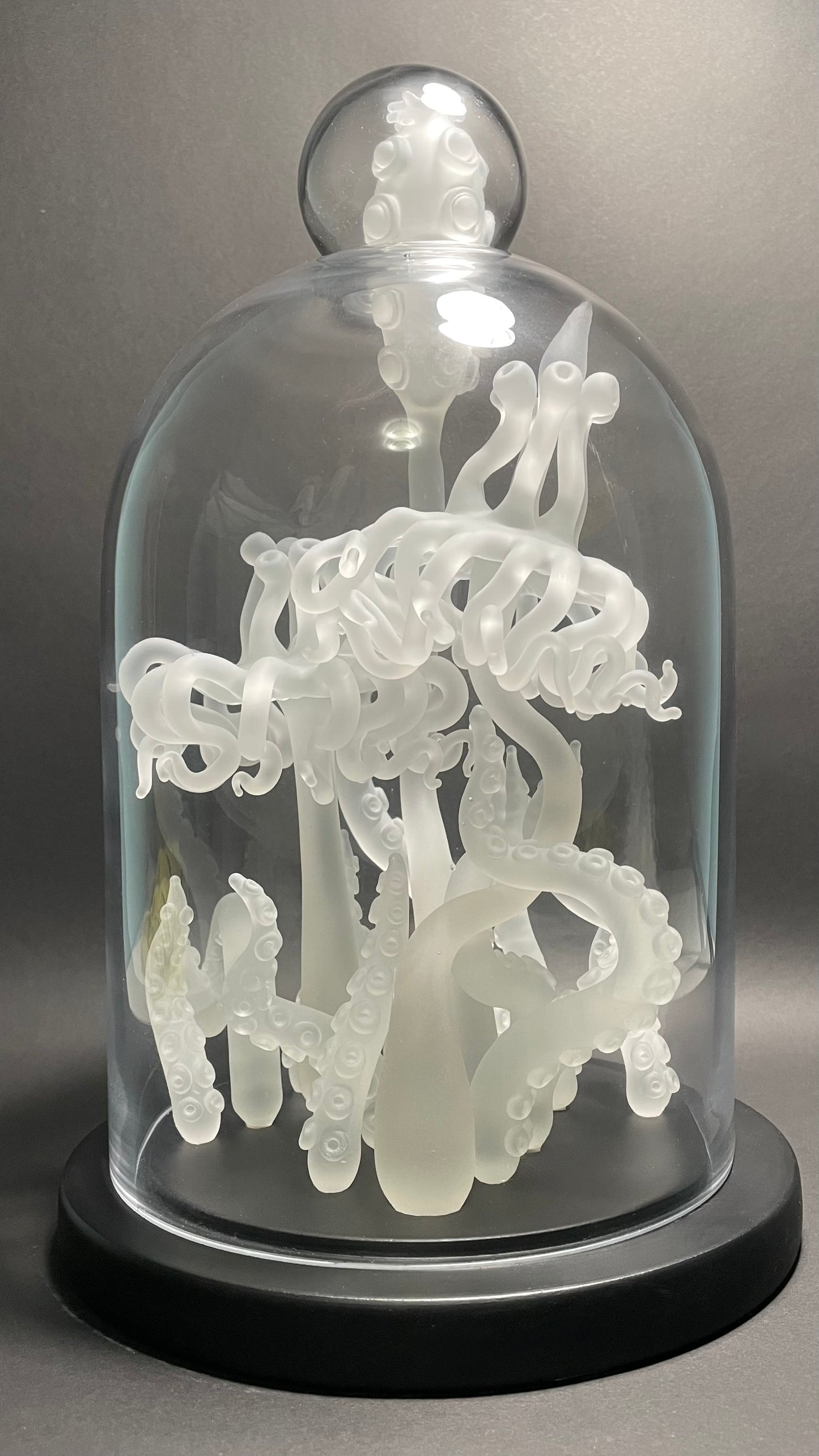 Amoeba Bell Jar 2
