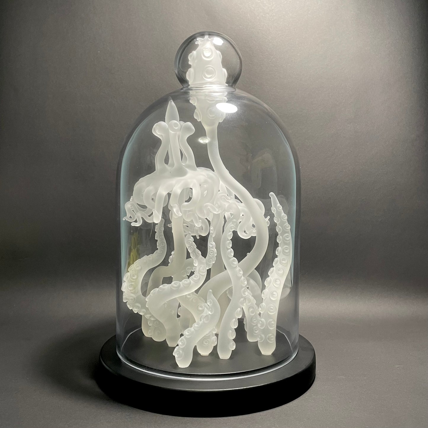 Amoeba Bell Jar 2