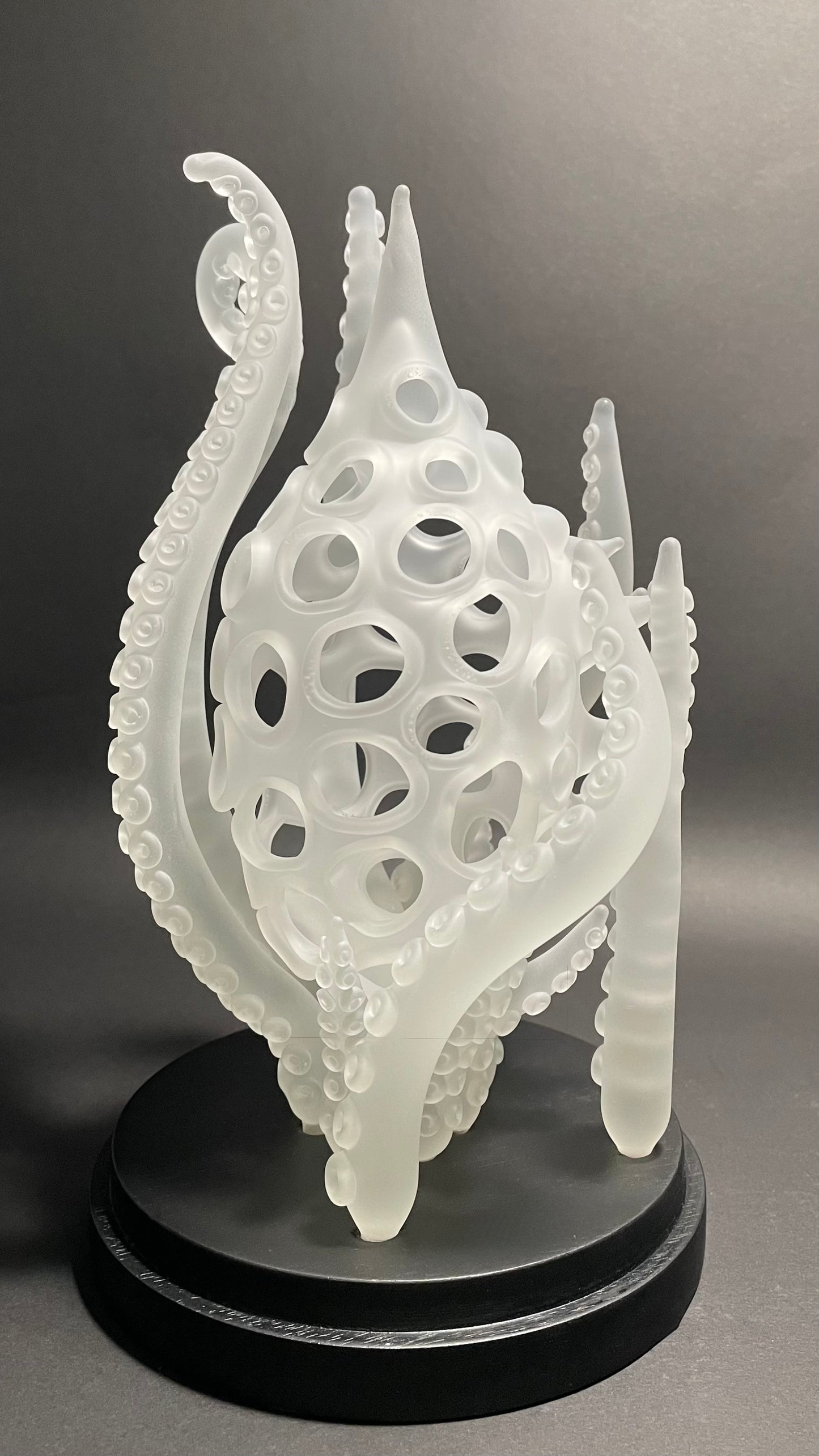 Amoeba Bell Jar 1
