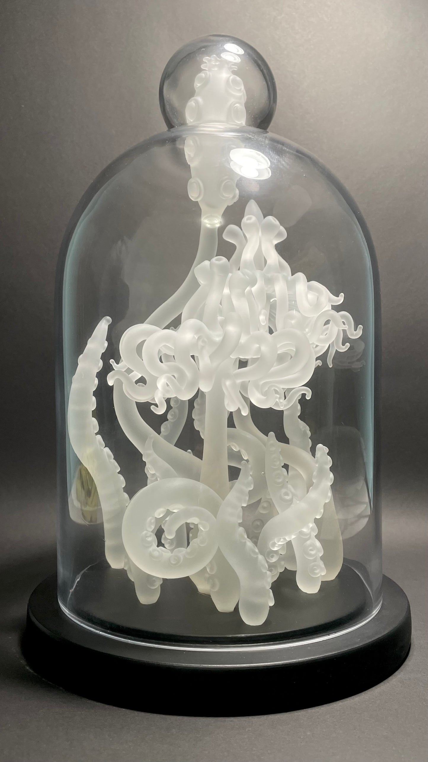 Amoeba Bell Jar 2
