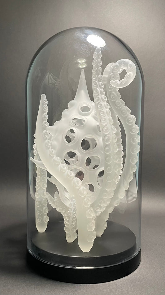 Amoeba Bell Jar 1