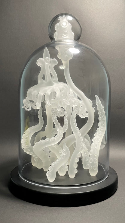 Amoeba Bell Jar 2