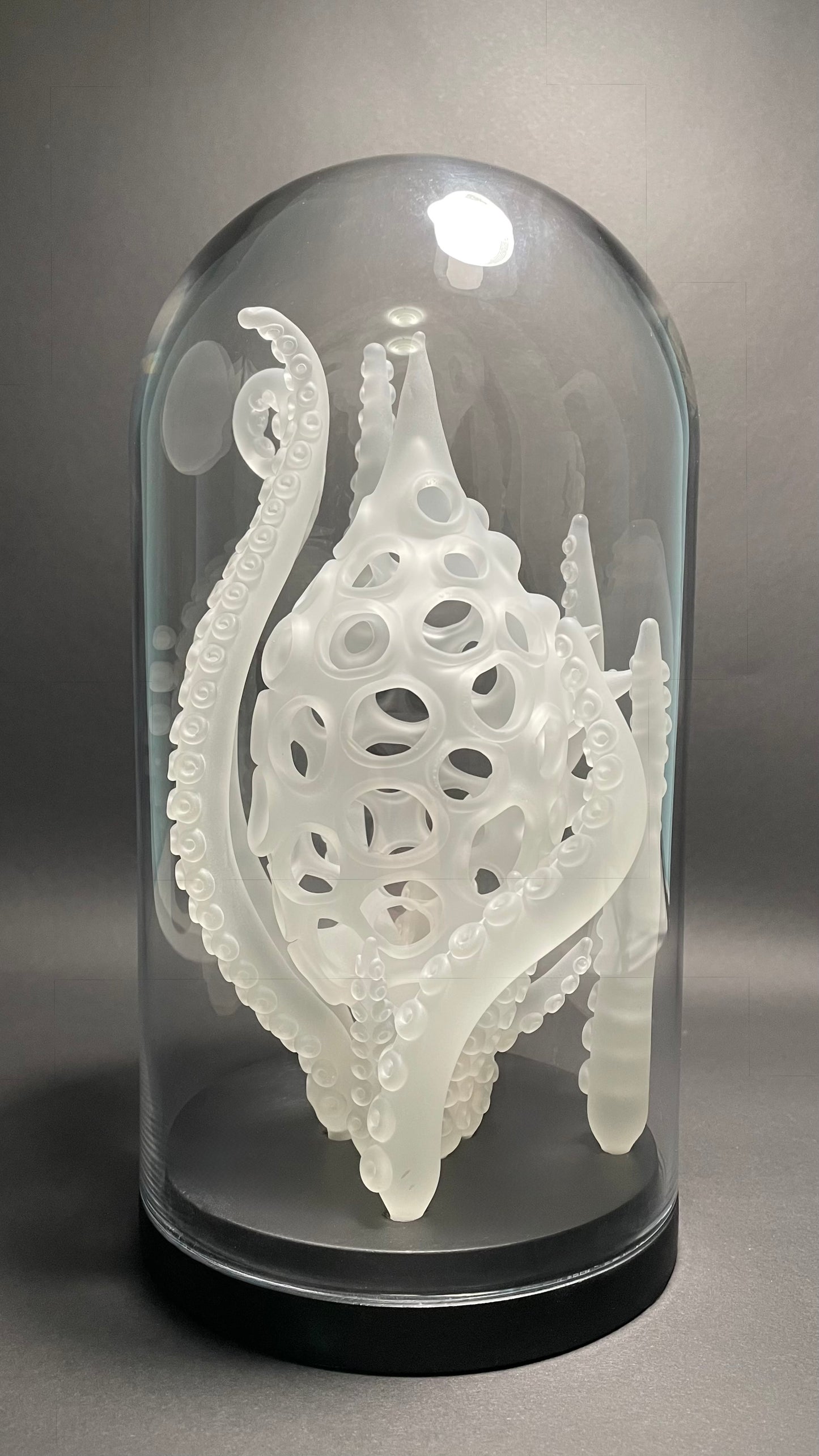 Amoeba Bell Jar 1