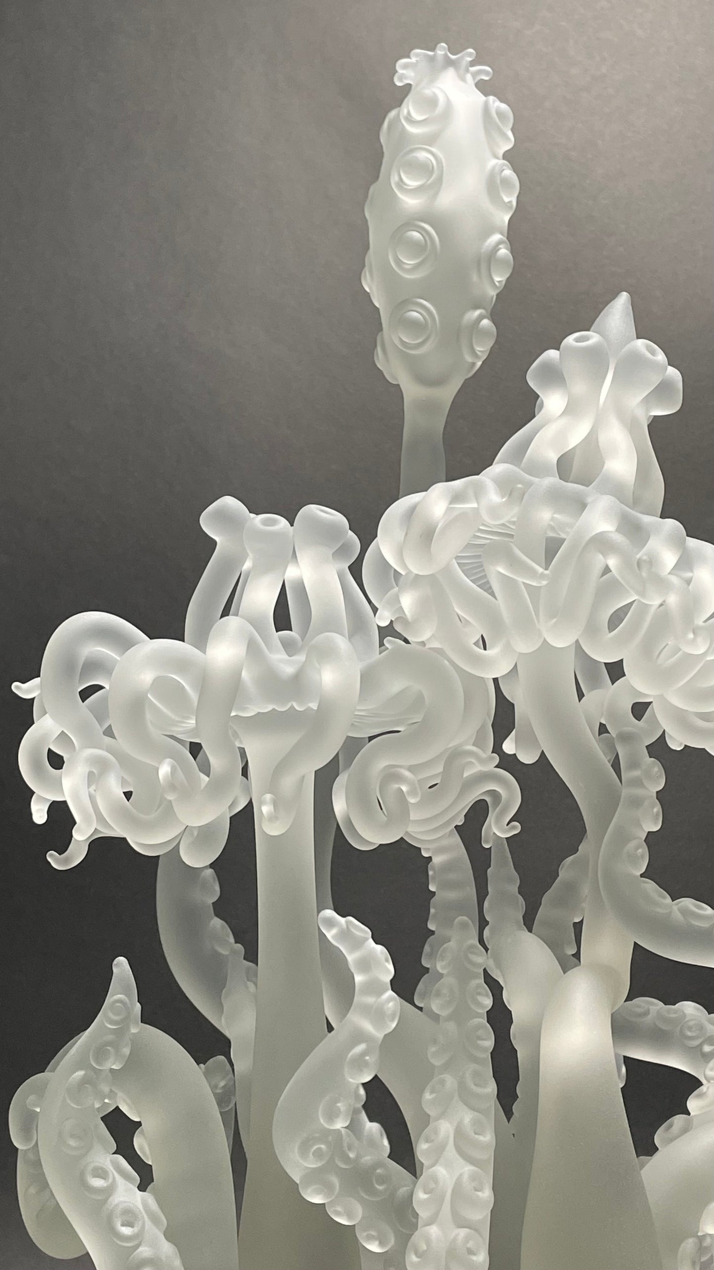 Amoeba Bell Jar 2