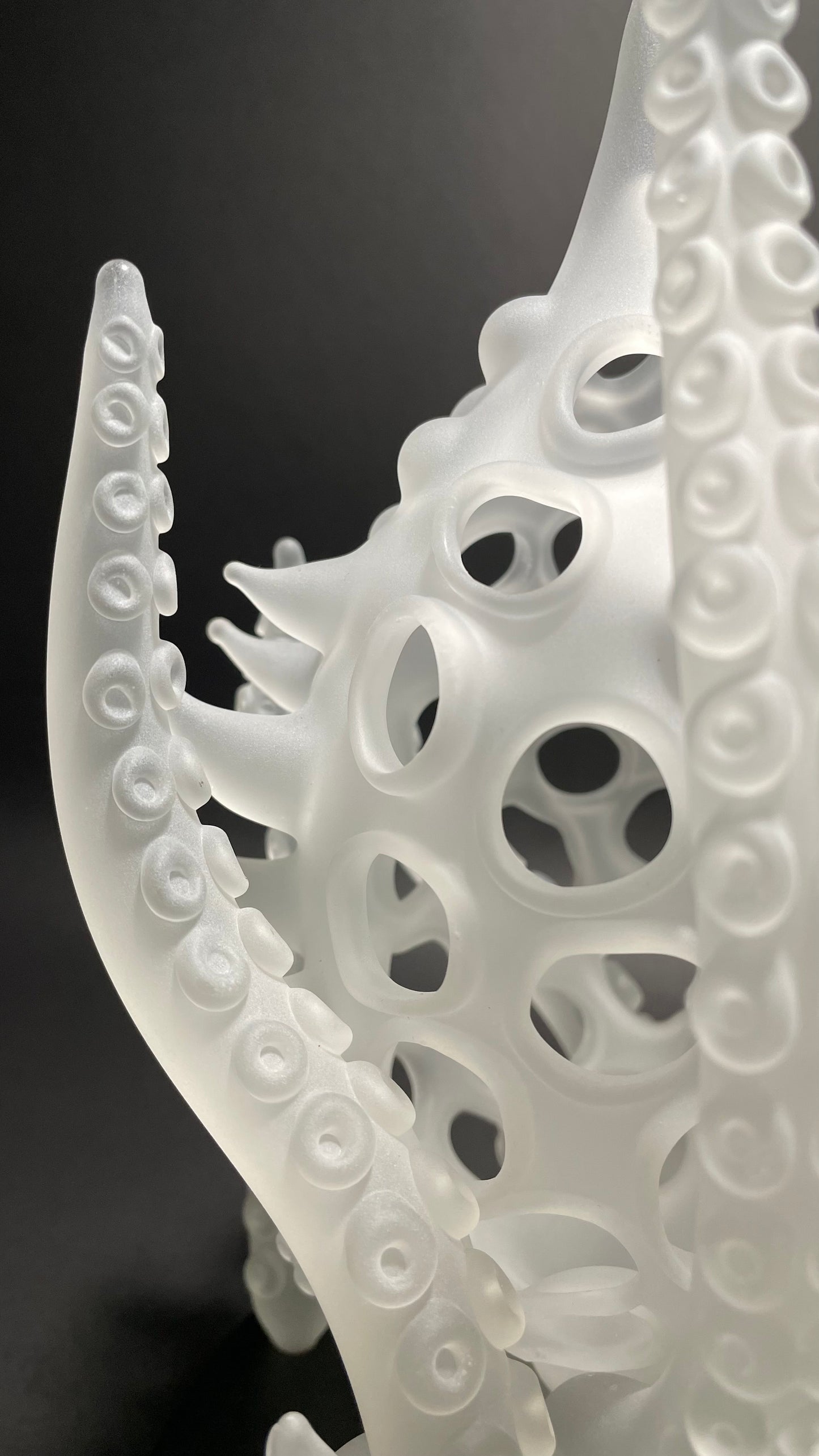 Amoeba Bell Jar 1
