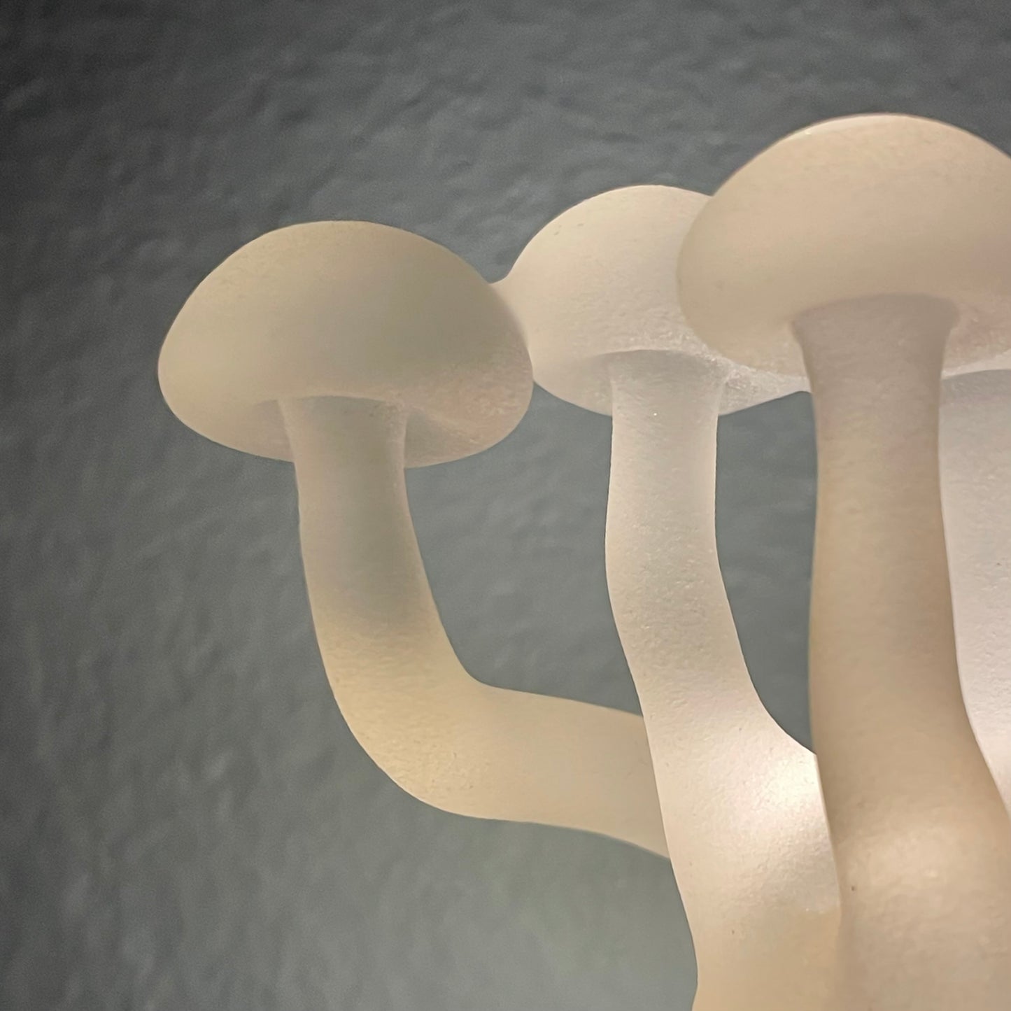 Mushroom, frosted clear glass led night light.