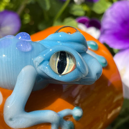 poison dart frog shot glass