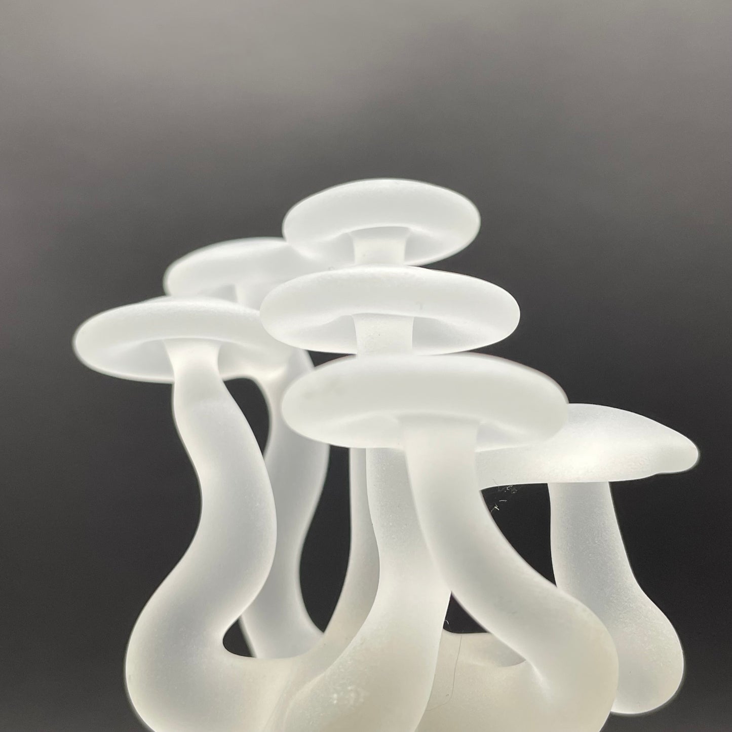 Mushroom, frosted clear glass led night light.