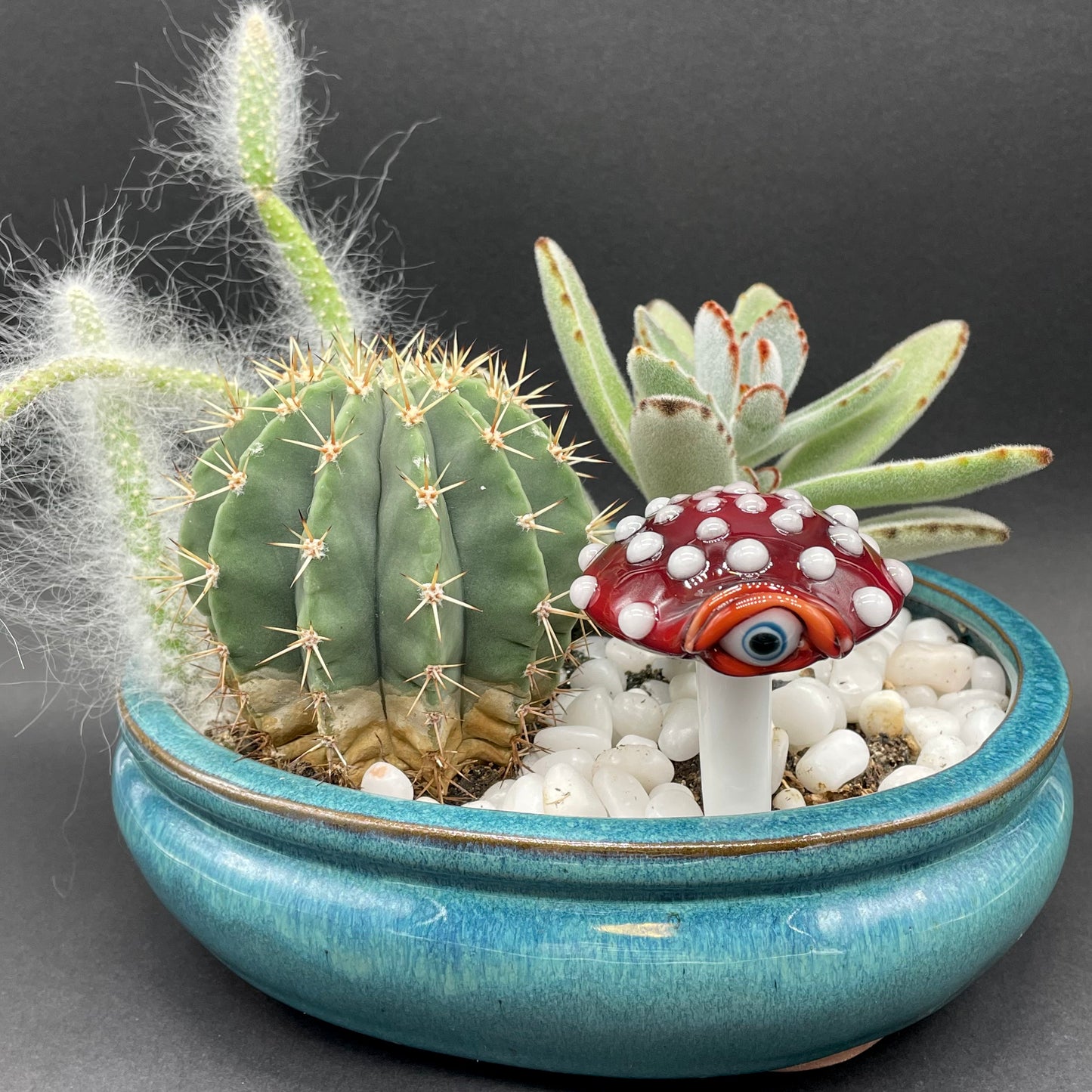 Mushroom plant decoration