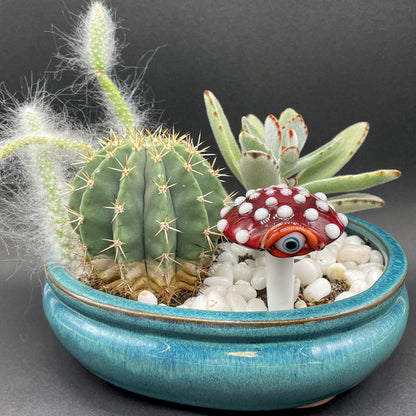 Mushroom plant decoration