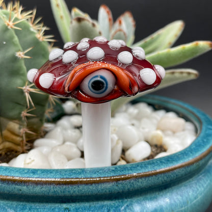 Mushroom plant decoration