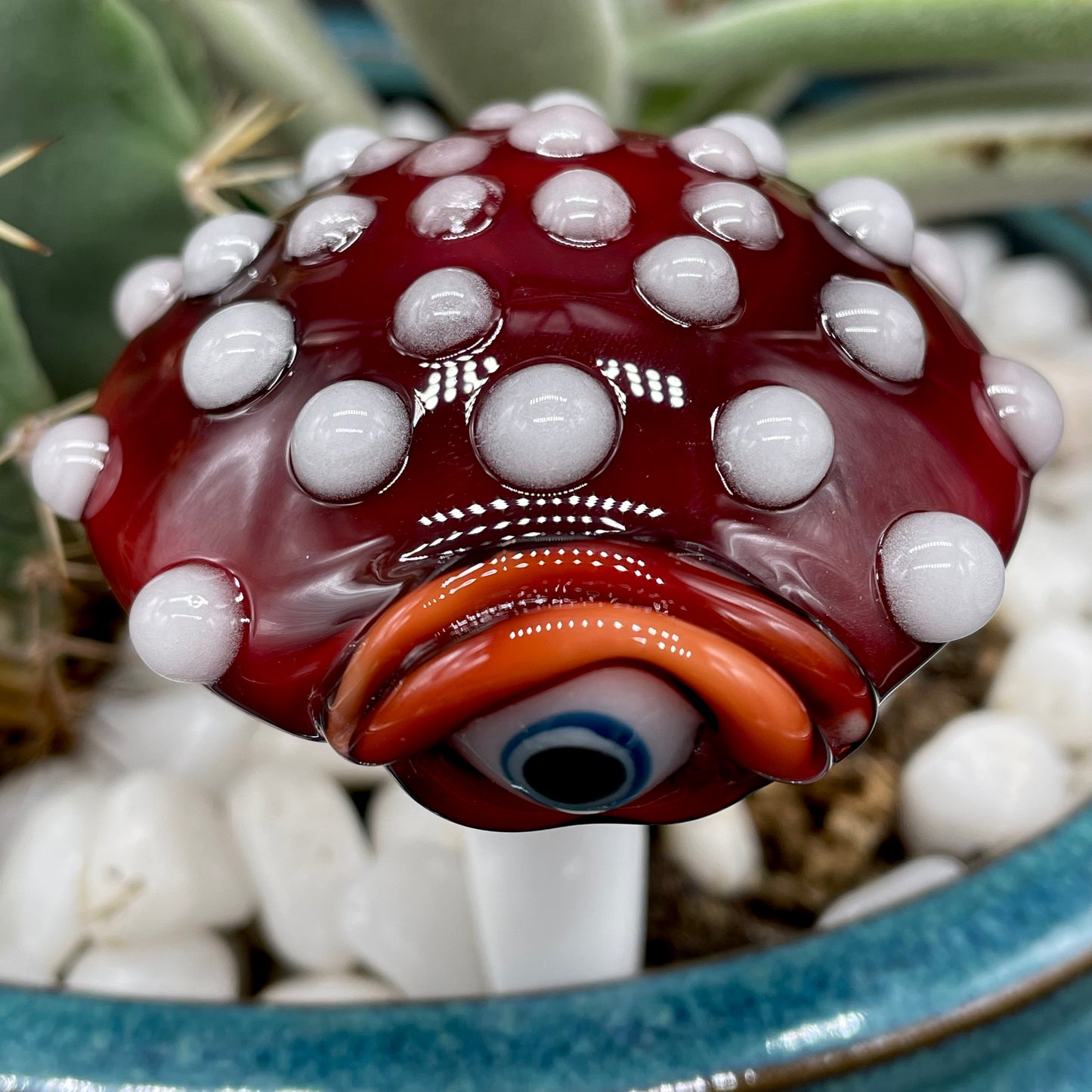 Mushroom plant decoration