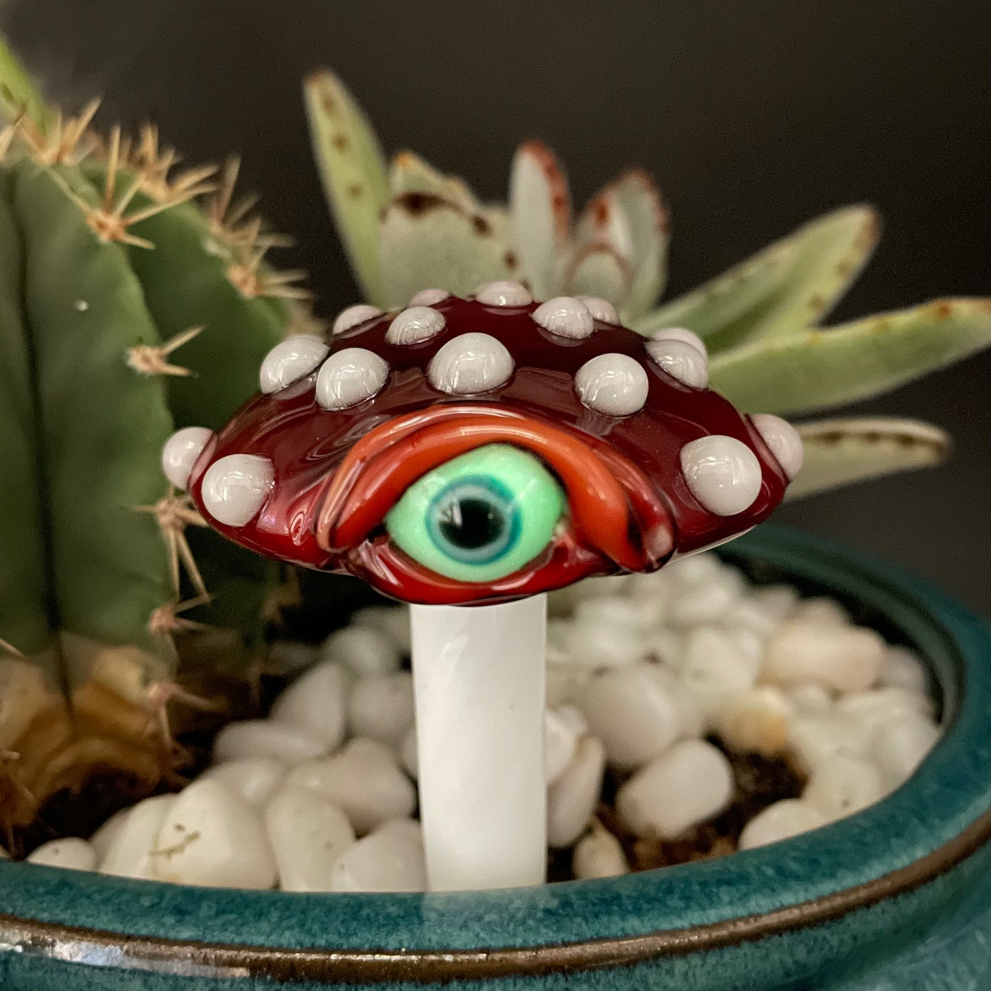 Mushroom plant decoration