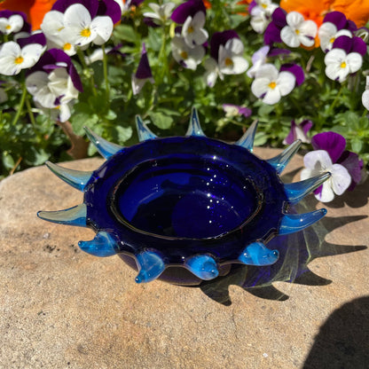 Spiny ashtray