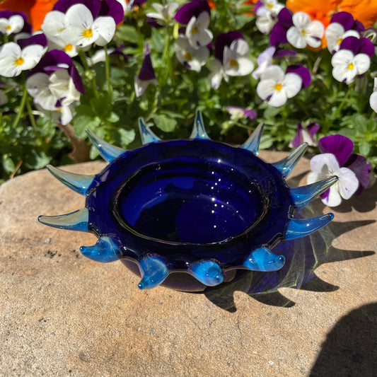 Spiny ashtray