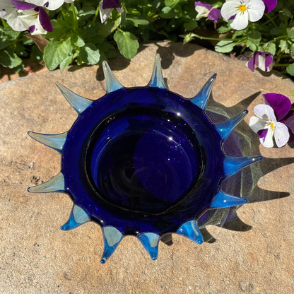 Spiny ashtray