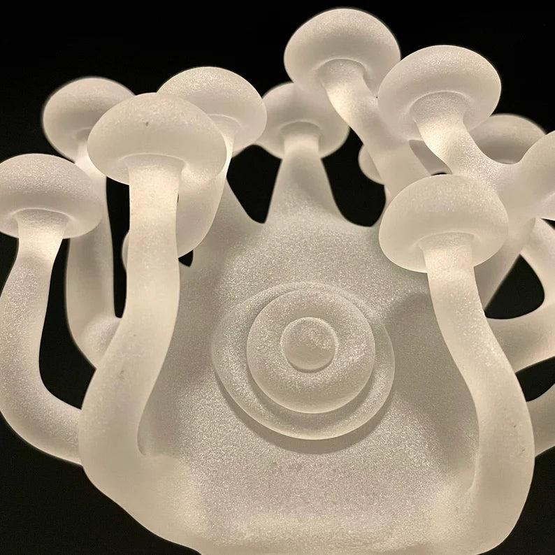 Large Mushroom, frosted clear glass led night light. #1