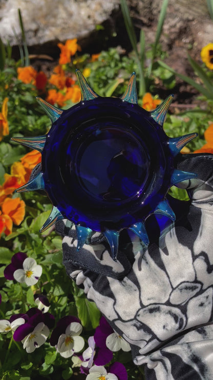 Spiny ashtray
